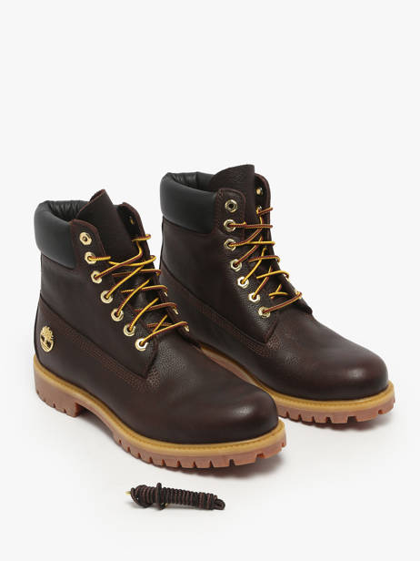 Enkellaarzen Uit Leder Timberland Bruin men 2P6WEXU1 ander zicht 1